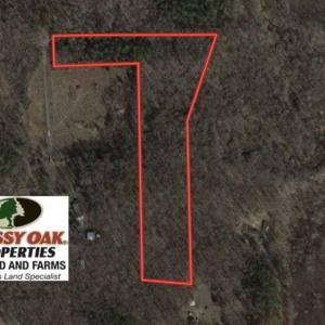 Photo of UNDER CONTRACT!!  10 Acres 0f Timber Land For Sale in Orange County NC!