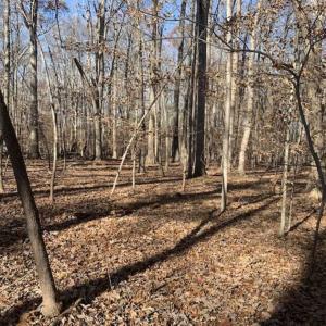 Photo of UNDER CONTRACT!!  10 Acres 0f Timber Land For Sale in Orange County NC!