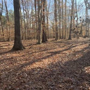 Photo of UNDER CONTRACT!!  10 Acres 0f Timber Land For Sale in Orange County NC!