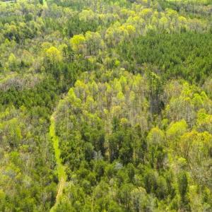 Photo of SOLD!!  106.89 Acres of Hunting Land with House For Sale in Person County NC!
