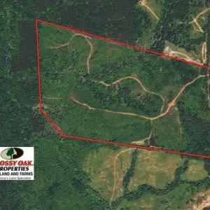 Photo of SOLD!!  106.89 Acres of Hunting Land with House For Sale in Person County NC!