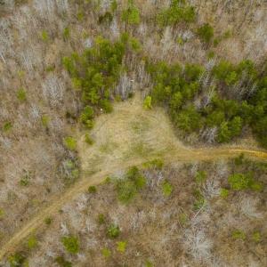 Photo of SOLD!!  106.89 Acres of Hunting Land with House For Sale in Person County NC!