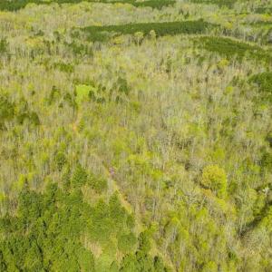 Photo of SOLD!!  106.89 Acres of Hunting Land with House For Sale in Person County NC!