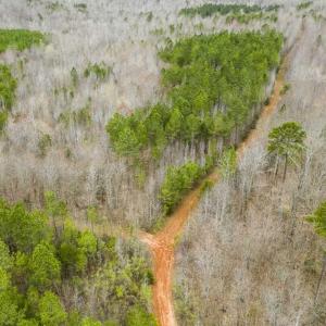 Photo of SOLD!!  106.89 Acres of Hunting Land with House For Sale in Person County NC!