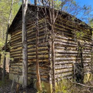 Photo of SOLD!!  106.89 Acres of Hunting Land with House For Sale in Person County NC!
