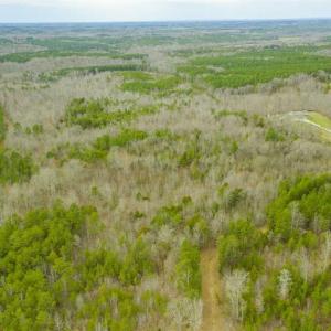 Photo of SOLD!!  106.89 Acres of Hunting Land with House For Sale in Person County NC!