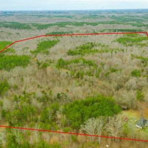 Photo of SOLD!!  106.89 Acres of Hunting Land with House For Sale in Person County NC!