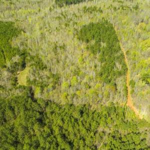 Photo of SOLD!!  106.89 Acres of Hunting Land with House For Sale in Person County NC!