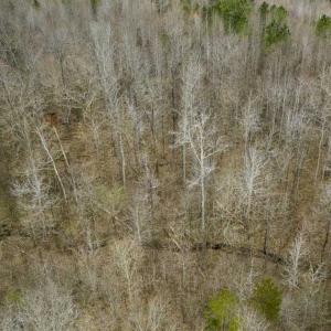 Photo of SOLD!!  106.89 Acres of Hunting Land with House For Sale in Person County NC!
