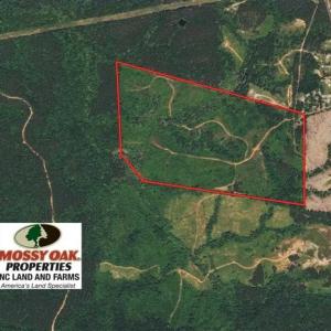 Photo of SOLD!!  106.89 Acres of Hunting Land with House For Sale in Person County NC!