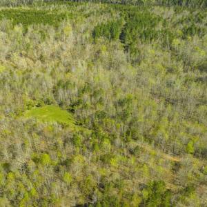 Photo of SOLD!!  106.89 Acres of Hunting Land with House For Sale in Person County NC!