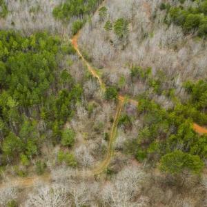 Photo of SOLD!!  106.89 Acres of Hunting Land with House For Sale in Person County NC!