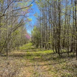 Photo of SOLD!!  106.89 Acres of Hunting Land with House For Sale in Person County NC!