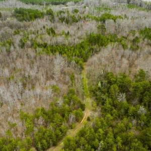 Photo of SOLD!!  106.89 Acres of Hunting Land with House For Sale in Person County NC!