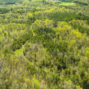 Photo of SOLD!!  106.89 Acres of Hunting Land with House For Sale in Person County NC!