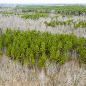 Photo of SOLD!!  106.89 Acres of Hunting Land with House For Sale in Person County NC!