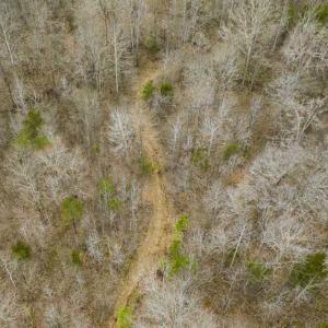 Photo of SOLD!!  106.89 Acres of Hunting Land with House For Sale in Person County NC!