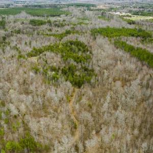 Photo of SOLD!!  106.89 Acres of Hunting Land with House For Sale in Person County NC!