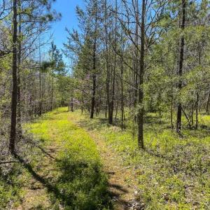 Photo of SOLD!!  106.89 Acres of Hunting Land with House For Sale in Person County NC!