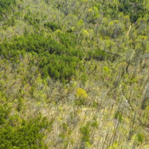 Photo of SOLD!!  106.89 Acres of Hunting Land with House For Sale in Person County NC!