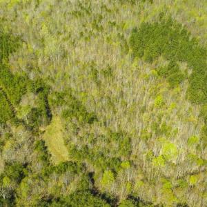 Photo of SOLD!!  106.89 Acres of Hunting Land with House For Sale in Person County NC!
