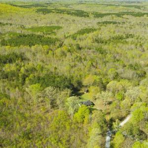 Photo of SOLD!!  106.89 Acres of Hunting Land with House For Sale in Person County NC!