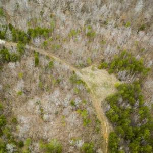 Photo of SOLD!!  106.89 Acres of Hunting Land with House For Sale in Person County NC!
