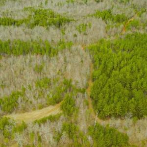 Photo of SOLD!!  106.89 Acres of Hunting Land with House For Sale in Person County NC!