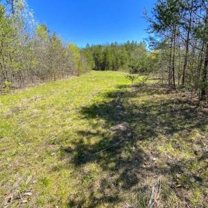 Photo of SOLD!!  106.89 Acres of Hunting Land with House For Sale in Person County NC!