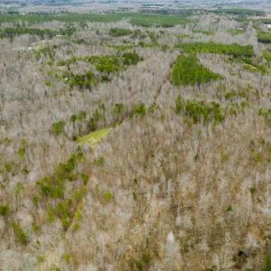 Photo of SOLD!!  106.89 Acres of Hunting Land with House For Sale in Person County NC!