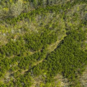 Photo of SOLD!!  106.89 Acres of Hunting Land with House For Sale in Person County NC!