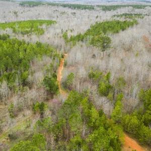 Photo of SOLD!!  106.89 Acres of Hunting Land with House For Sale in Person County NC!
