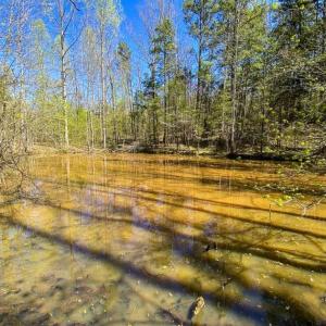 Photo of SOLD!!  106.89 Acres of Hunting Land with House For Sale in Person County NC!