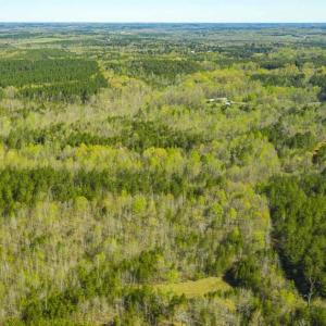Photo of SOLD!!  106.89 Acres of Hunting Land with House For Sale in Person County NC!