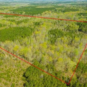 Photo of SOLD!!  106.89 Acres of Hunting Land with House For Sale in Person County NC!