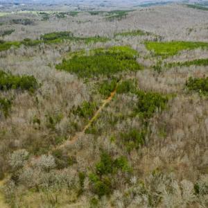 Photo of SOLD!!  106.89 Acres of Hunting Land with House For Sale in Person County NC!