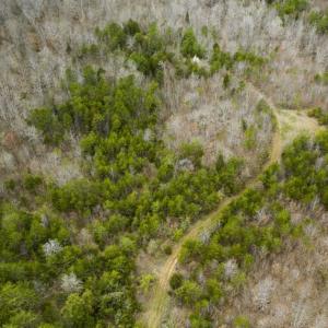 Photo of SOLD!!  106.89 Acres of Hunting Land with House For Sale in Person County NC!