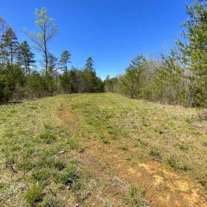 Photo of SOLD!!  106.89 Acres of Hunting Land with House For Sale in Person County NC!