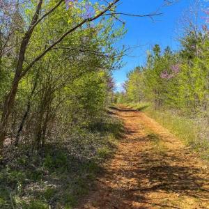 Photo of SOLD!!  106.89 Acres of Hunting Land with House For Sale in Person County NC!
