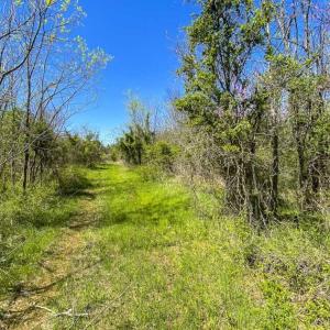 Photo of SOLD!!  106.89 Acres of Hunting Land with House For Sale in Person County NC!