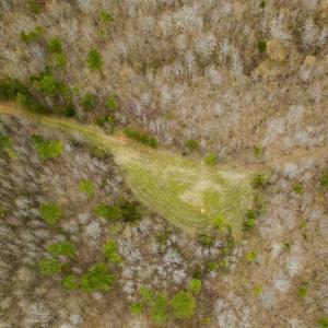 Photo of SOLD!!  106.89 Acres of Hunting Land with House For Sale in Person County NC!