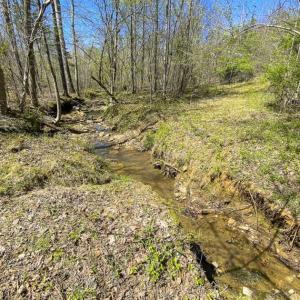 Photo of SOLD!!  106.89 Acres of Hunting Land with House For Sale in Person County NC!
