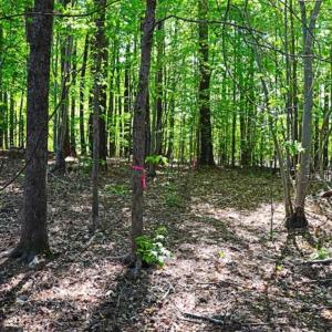 Photo of SOLD!!  1.02 Acres of Residential Land For Sale in Halifax County NC!