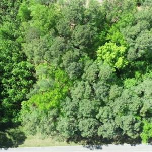 Photo of SOLD!!  1.02 Acres of Residential Land For Sale in Halifax County NC!