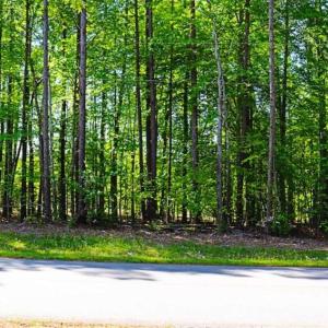 Photo of SOLD!!  1.02 Acres of Residential Land For Sale in Halifax County NC!