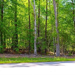 Photo of SOLD!!  1.02 Acres of Residential Land For Sale in Halifax County NC!