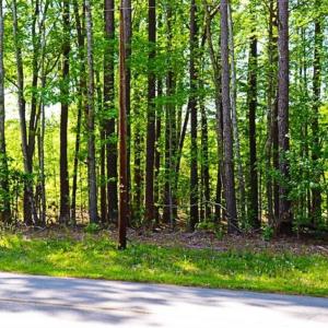 Photo of SOLD!!  1.02 Acres of Residential Land For Sale in Halifax County NC!