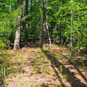 Photo of SOLD!!  1.02 Acres of Residential Land For Sale in Halifax County NC!
