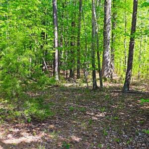 Photo of SOLD!!  1.02 Acres of Residential Land For Sale in Halifax County NC!