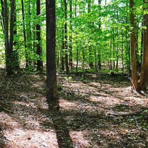 Photo of SOLD!!  1.02 Acres of Residential Land For Sale in Halifax County NC!